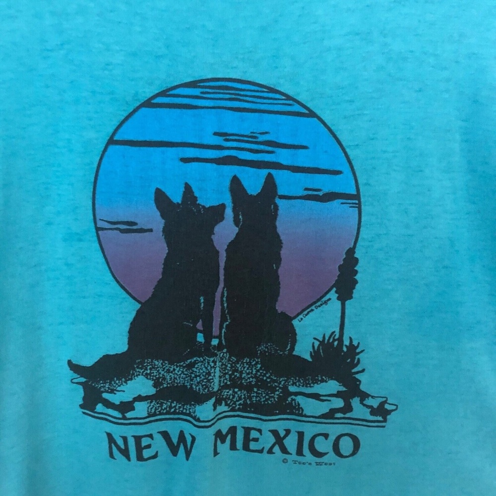 RARE Vintage 80s New Mexico shirt Turquoise. Medium - Unisex